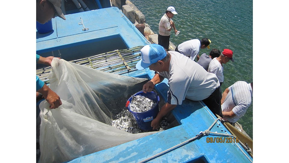 01  台電以「魚苗放流」主動與地方漁民一起實踐環境永續 